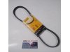Slika 2 -  4PK 855 KAIŠ ALTERNATORA 600 dinara NOVO Continental - MojAuto