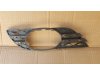 Slika 1 -  Resetka u braniku Mercedes E klasa W211 2006-2009 Avantgarde - MojAuto