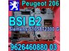 Slika 1 -  BSI B2 Peugeot 206 , 9626460880 03 , Siemens S105872300 G - MojAuto
