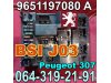 Slika 1 -  BSI J03 , 9651197080 A Valeo bot 9.31 Peugeot 307 - MojAuto