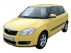 Slika 5 -  Resetka sa rupom Skoda Fabia 2 Roomster 2007-2010 - MojAuto