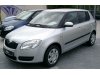 Slika 5 -  Resetka bez rupe Skoda Fabia 2 Roomster 2007-2010 - MojAuto