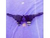 Slika 2 -  ABLENDER Citroen C1 - MojAuto