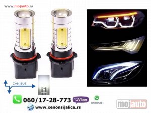 Glavna slika - P13 led sijalice kan bus bele - MojAuto