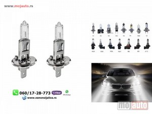 Glavna slika - Halogene sijalice cool white h1 - MojAuto