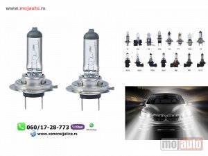 Glavna slika - Halogene sijalice cool white h7 - MojAuto