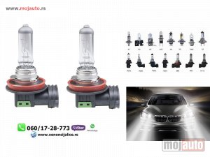 Glavna slika - Halogene sijalice cool white h11 - MojAuto