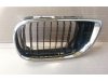 Slika 1 -  Maska bubrezi sa crnim rebrima BMW E46 2002-2005 - MojAuto