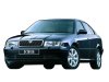 Slika 5 -  Resetka u braniku Skoda Octavia A4 2000-2004 - MojAuto
