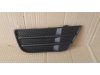 Slika 3 -  Resetka u braniku Ford Fusion 2002-2006 - MojAuto
