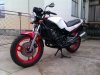 Slika 2 - Yamaha RD 350 YPVS - MojAuto