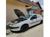 Slika 7 -  BRANIK Pežo 206 Peugeot - MojAuto