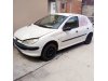 Slika 2 -  BRANIK Pežo 206 Peugeot - MojAuto