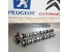 Slika 2 -  BREGASTA Peugeot Citroen Pežo - MojAuto