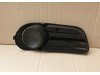 Slika 2 -  Resetka u braniku bez rupe Skoda Fabia 2004-2007 - MojAuto