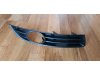 Slika 2 -  Resetka u braniku sa rupom VW Passat B6 - MojAuto