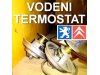 Slika 1 -  Vodeni Termostat Pežo Citroen Peugeot - MojAuto