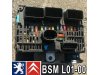 Slika 17 -  BSM R09,R07,R05,R01,L11,L10,L08,L06,L05,L04,L03,L01,B5,B4,B3,B2 Pežo Citroen Peugeot - MojAuto