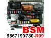 Slika 2 -  BSM R09,R07,R05,R01,L11,L10,L08,L06,L05,L04,L03,L01,B5,B4,B3,B2 Pežo Citroen Peugeot - MojAuto