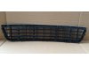 Slika 2 -  Centralna resetka u braniku Audi A6 2001-2003 - MojAuto