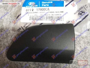 Glavna slika -  LAJSNA BLATOBRANA KOMPLET Desno Hyundai matrix 01-08 -nedostupno - MojAuto