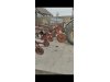 Slika 5 - IMT Spartac - MojAuto