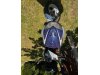Slika 2 - Max atv ELITTE - MojAuto
