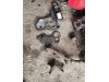 Slika 12 - IMT 560 577 - MojAuto