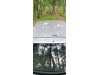 Slika 18 - Fiat Punto 1.2/8V DANAS REGISTROVAN   - MojAuto