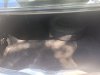Slika 14 - Renault Thalia tek reg  - MojAuto