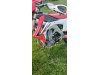 Slika 9 - Honda CRF 450 R - MojAuto
