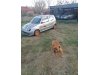 Slika 13 - Fiat Seicento   - MojAuto