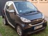 Slika 11 - Smart ForTwo mhd  - MojAuto
