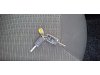 Slika 24 - Citroen C3 1.2 AUTOMATIK   - MojAuto