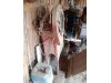 Slika 15 - LABIN PROGRES Pbt super specijal lux - MojAuto