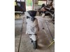 Slika 1 - Peda Piccolo 2T 50 Motor S.R.L - MojAuto