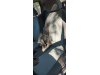 Slika 9 - Fiat Punto 1.2/8V DUGO REISTROVAN  - MojAuto