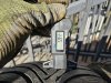 Slika 7 -  215-65-16 Michelin Alpin5 kao nove odlicne - MojAuto