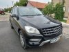 Slika 2 - Mercedes ML 250 2.2BLUETEC PRELEP  - MojAuto