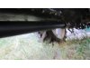 Slika 11 - YTO 354 sg 4x4 PRVI VLASNIK - MojAuto