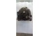 Slika 5 -  Alternator Bosch 90A za VW Bora,Golf 4. 1.9 TDI 74kv/101ks. - MojAuto