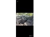 Slika 11 - Fiat Doblo 1.5 bluehdi   - MojAuto