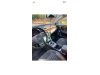 Slika 8 - VW Passat 4motion  - MojAuto