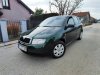 Slika 1 - Škoda Fabia 1.4 MPI  - MojAuto