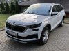 Slika 1 - Škoda Kodiaq 2.0 TDI Business  - MojAuto