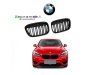 Slika 1 -  Bmw x1 f48 15-19 maska m - MojAuto