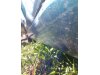 Slika 5 - Opel Meriva 1.4B  - MojAuto
