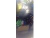Slika 6 - Ford Transit   - MojAuto