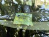 Slika 10 - Renault Grand Scenic 2.0Dci Automatik  TOP AUTO  - MojAuto