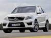 Slika 14 -  Mercedes A, B, C, CLA, CLS, E, GLA, GLK, &nbsp; ML / Znak prednje maske&nbsp;/ Stakleni za distronik / ORIGINAL - MojAuto